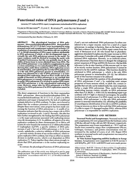 Cellular Roles of DNA Polymerase Beta .